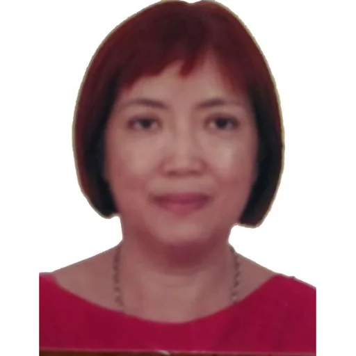 HUANG SHI HUI ALLISON (NEWLINK DEVELOPMENT)