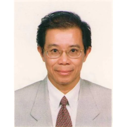 TONG MENG CHYE (ROBIN)