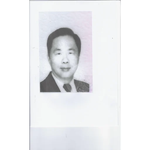CHEN YINGSHI JOHN (FKA TAN YING SHIH)