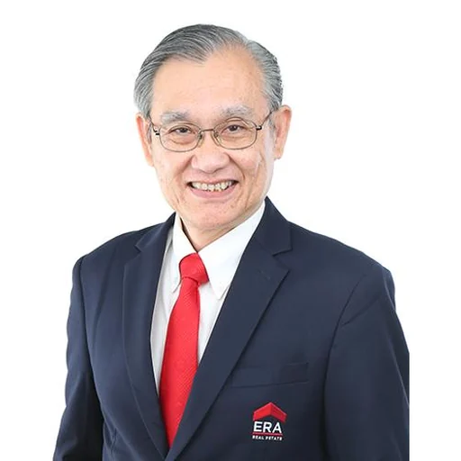 SIM HIANG NEE (DAVID)