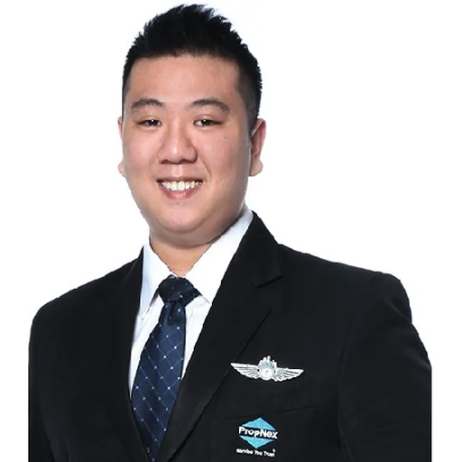 TAN JI SHAN, RODNEY (RODNEY TAN)