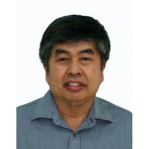 SIM THENG KOK (JOHNSON)