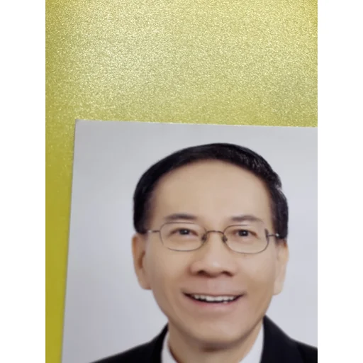 PAUL HO KOK CHEE (PAUL HO KOK CHEE)