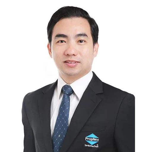 TAN SEOW WEE RICHARD (RICHARD TAN)