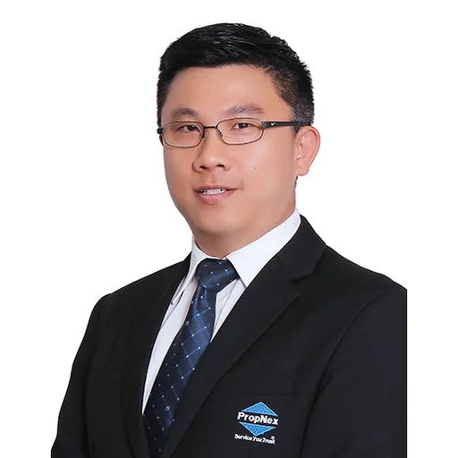 LIM KOK SENG KELVIN (KELVIN LIM)