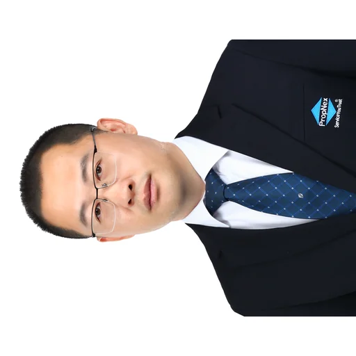 PAN XINFENG