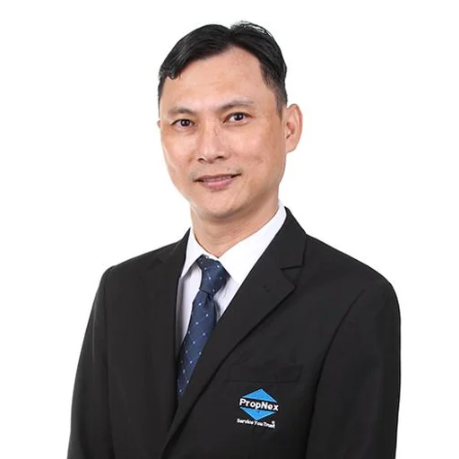 TAN AH SENG (BENSON TAN)
