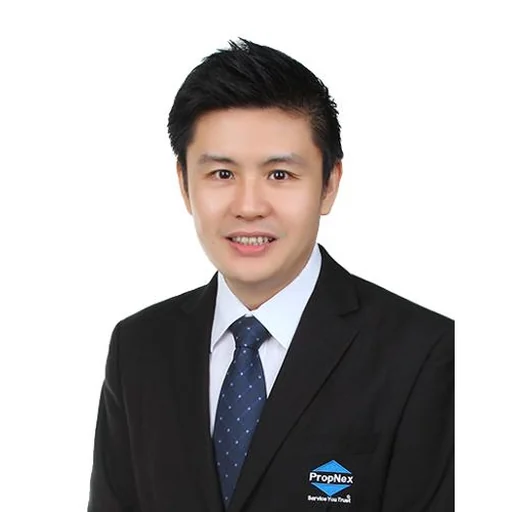LAI KENG SOON (LVIS)