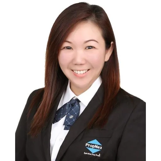 EVELYN TAN HWEE PENG (EVELYN TAN)