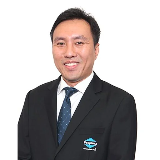 LIM BOON LENG (MARK)