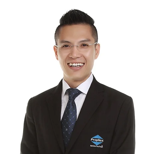 LIM HOCK BENG (LIN HUMIN) (BENNY LIM)