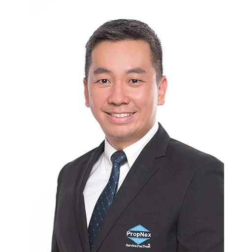 HENG THIAM SWEE (DARRELL HENG)