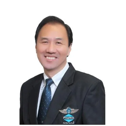 TAN CHOON BEE CHRIS (CHRIS TAN)