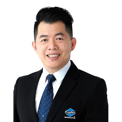 TAN JVI HIAN (SEAN)