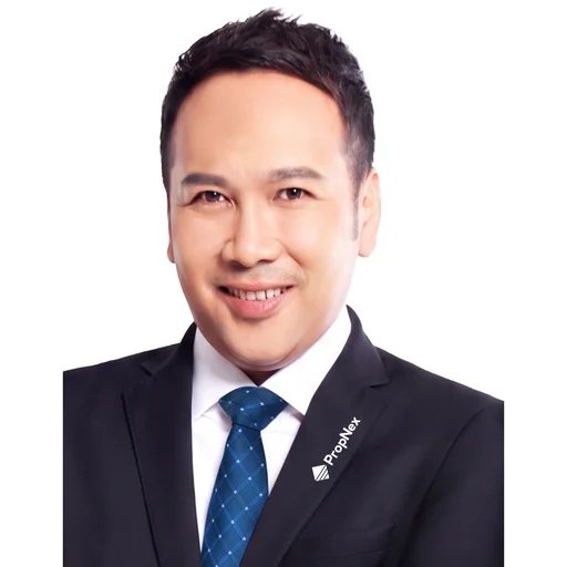 TAN KWANG PHENG (LOUIS TAN)