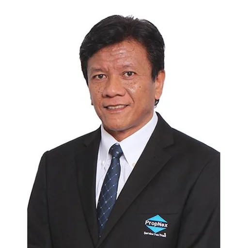 ZULKIFLI ARIFFIN BIN SAMDIN (ZULKIFLI SAMDIN)