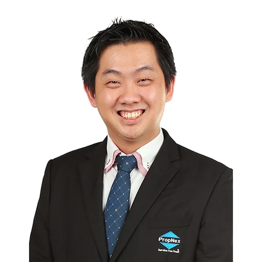 ONG KIM YONG (WANG ZHIRONG) (JUSTIN ONG)