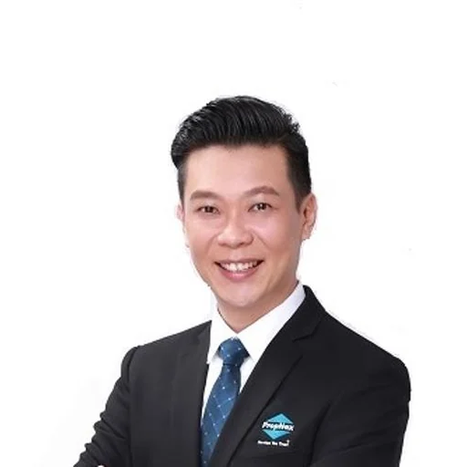 NG WEE SENG,FELIX (FELIX NG)