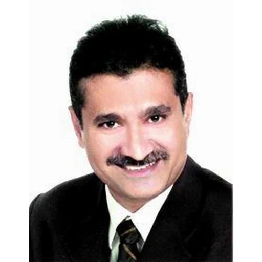 ALAMDEEN BIN MOHD (ALAMDEEN BIN MOHD)