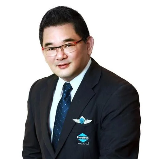 LIM PHING YAN (PETER LIM)