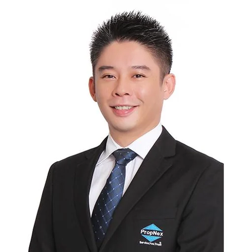 HO KIAN HIONG (HE JIANXIONG) (DAVID HO)