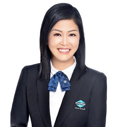 CHAN SOCK LIAN (ZENG SHULIAN) (JOANNE CHAN)