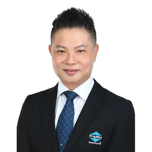 NG WEE TAT (NELSON NG)