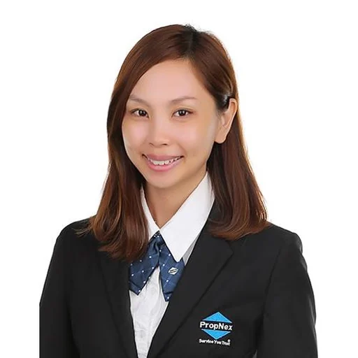 CHANG FEI MIEN (HUIMIN)