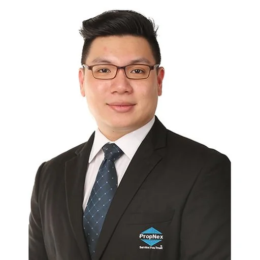 ONG AIK KIAT ALVIN (ALVIN ONG)