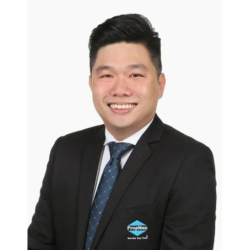 CHUA LIN SHENG (VINCENT CHUA)