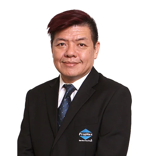 DEREK TAN HIANG THONG (CHEN XIANTONG) (DEREK TAN)