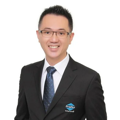 DEREK ONG BOON HENG (WANG WENXING)