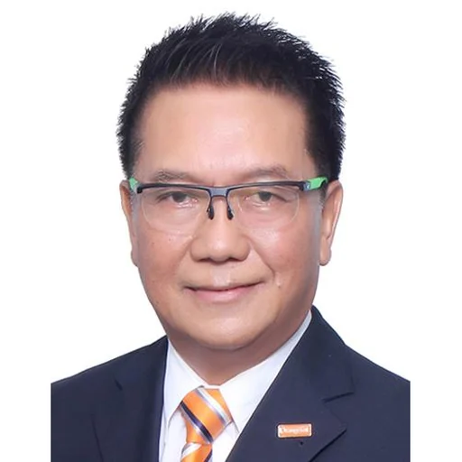 TAN TONG SENG (PADDY)