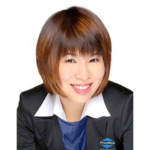 TAN SIEW HWEE (CHEN XIUHUI) (MARIE TAN S H)