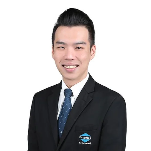 TING SHI YANG