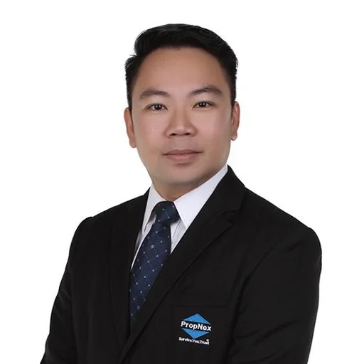 LIM TUK NGIN BERTRAND (LIN DAXIAN BERTRAND) (BERTRAND LIM T N)