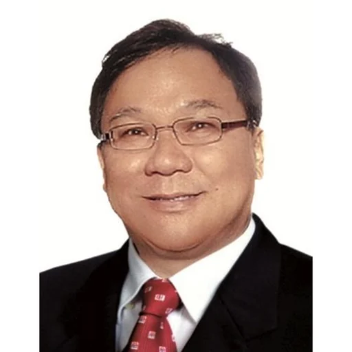 WONG VOON SWEE (TONY WONG V S)