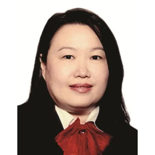 NG YIAN NEE (ANN NG YIAN NEE)