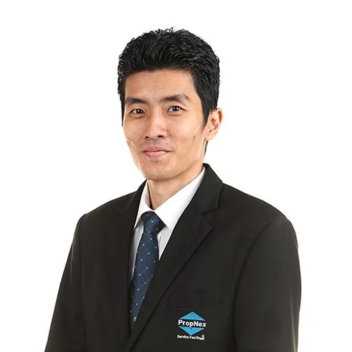 SEAH WEE TIONG (XIE WEIZHONG) (JOHN SEAH)