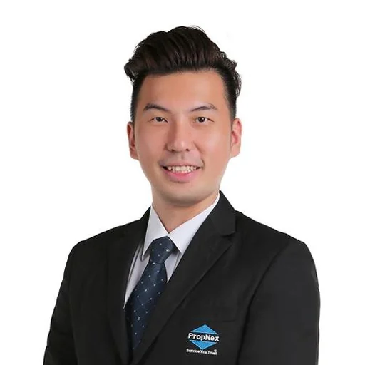 LEE MENG HUAT JEFFREY (LI MINGFA JEFFREY) (JEFFREY LEE)