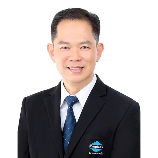 TAN PANG KIAT (VINCENT TAN)