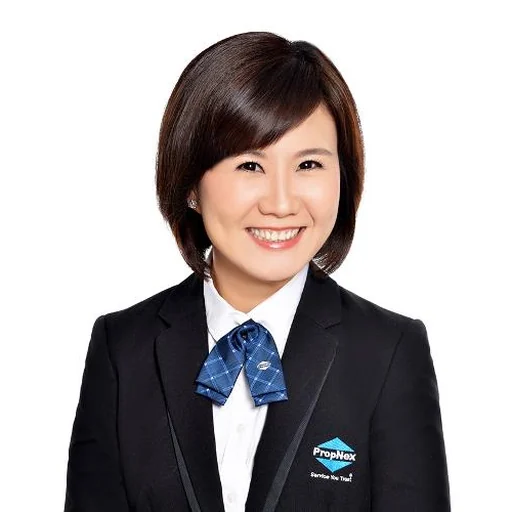 TAN HWEE NAI VIVIEN (VIVIEN TAN)