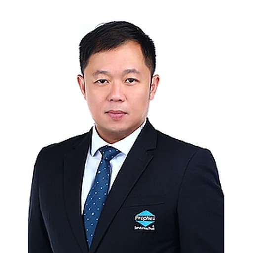 TAN CHONG HWEE (CHEN ZONGHUI)