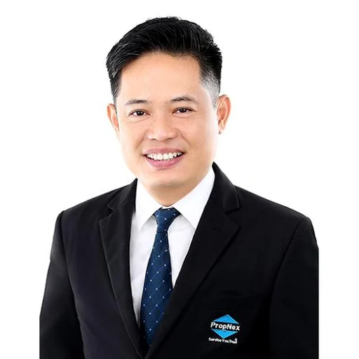 TAN BAK HOE (DAVID)