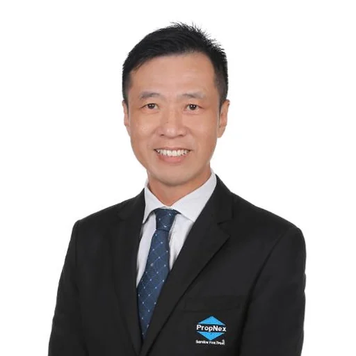 KOAY LEENG KEONG (DAVID)