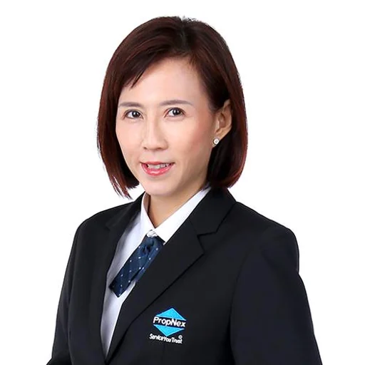 JANE SIM MEI GEK