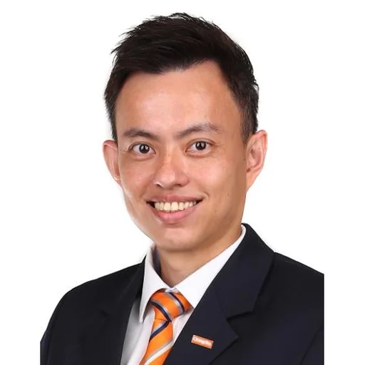 TAY MENG WEI (ZHENG MINGWEI) (GEORGE TAY)