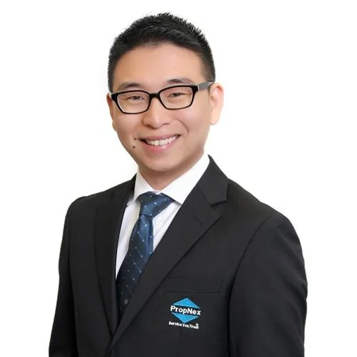 LIM RONG QIANG (LIN RONGQIANG) (JEFFREY ZEUS)