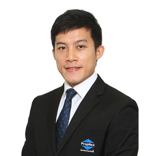 TAN HONG HUP, RONNIE (CHEN HONGHE)