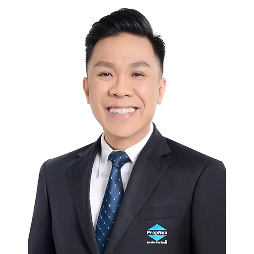 WONG WENG HOE (DAVID WONG)